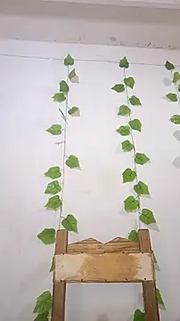 shayna all online show from January 2026 06:55:02 PM