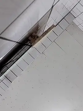 cindy01113520 online show from October 2025 03:04:02 PM