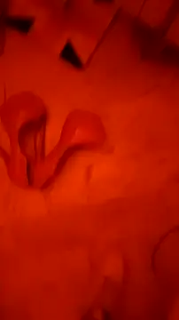 Misspadrona88 online show from February 2026 03:57:01 PM