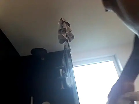 Prinzalbert7xh online show from October 2025 12:28:01 PM