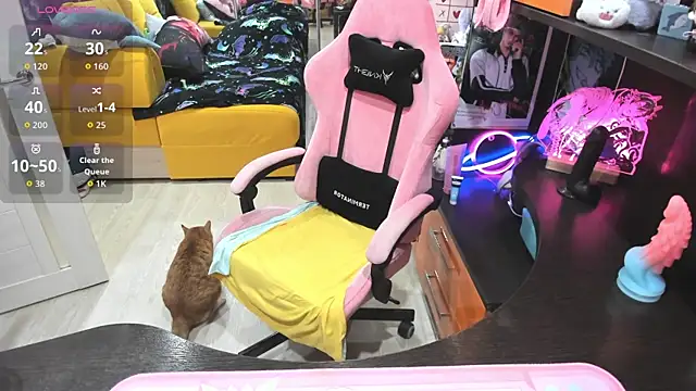 Softie Sofy online show from April 2026 02:57:02 AM