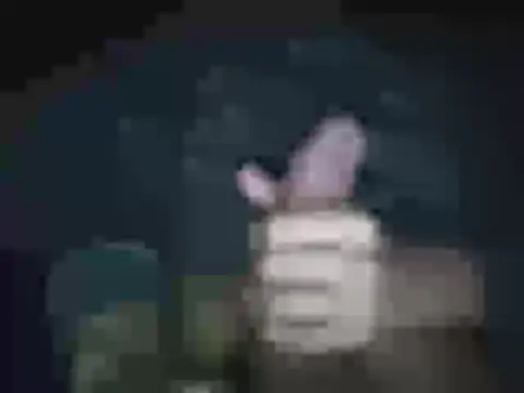 jheisonct online show from April 2026 03:57:01 AM