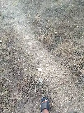 rameshmry1 online show from March 2026 12:31:02 PM