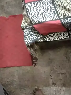 rameshmry1 online show from January 2025 01:50:01 AM