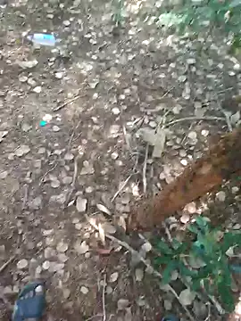 rameshmry1 online show from February 2026 09:00:02 AM