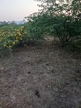 rameshmry1 online show from March 2026 12:35:02 PM