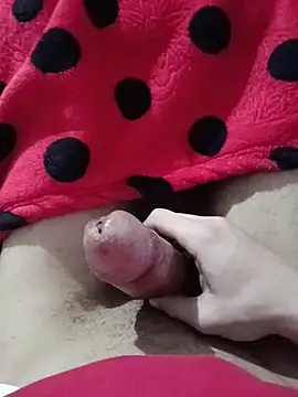 Prince R9 online show from December 2025 09:53:01 PM