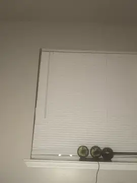Foreignthababyy online show from January 2026 06:20:01 AM
