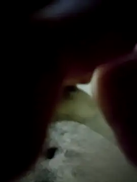 mc8k35MGadbuhPr online show from November 2025 12:22:01 PM