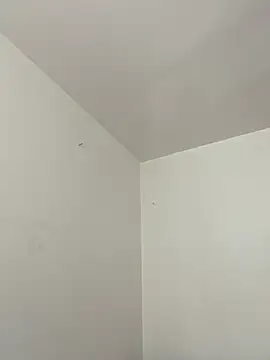 mochamimi online show from March 2026 02:07:01 PM