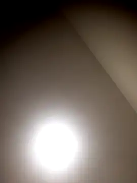 sua sub  online show from February 2026 03:12:01 PM