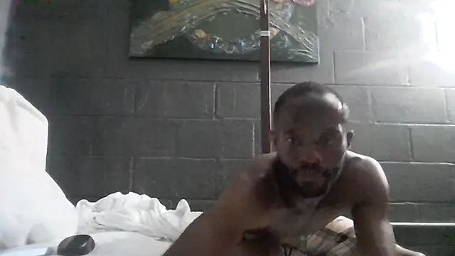 Maculine Stayr online show from May 2026 11:40:02 AM