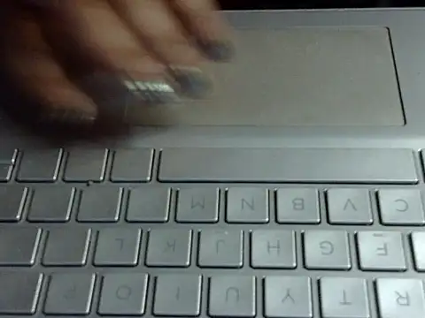 Your wild Dia online show from February 2026 07:03:01 PM