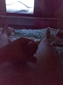 Kira-san online show from November 2025 03:17:02 AM