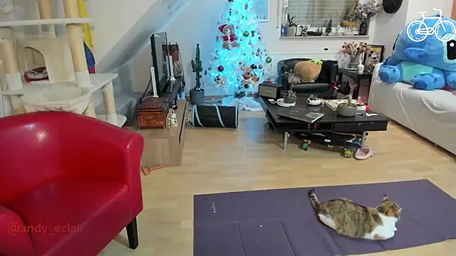 tinny williams online show from December 2025 04:24:01 AM