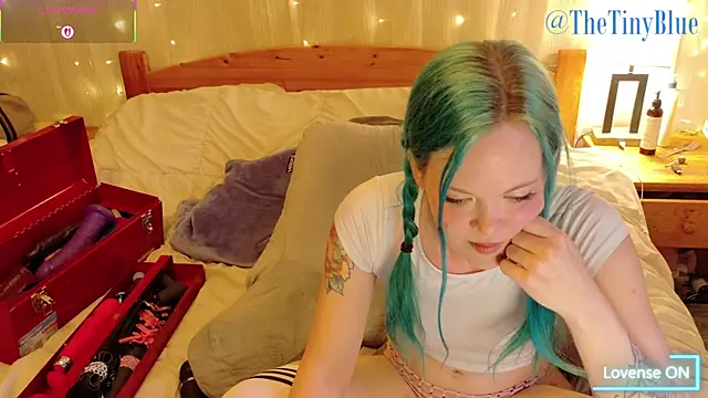 Snapshot of thetinyblue chatting on May 2026 05:27:02 PM thetinyblue online show from May 2026 05:27:02 PM
