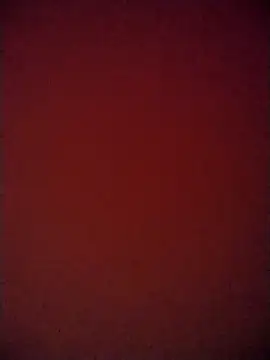 Snapshot of martuk chatting on February 2025 03:18:02 AM martuk online show from February 2025 03:18:02 AM