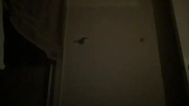 BigGuyMuscle online show from April 2026 04:08:02 AM