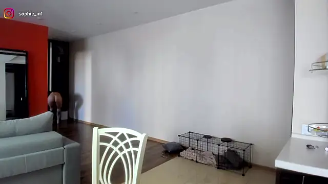  in yan online show from March 2026 04:31:02 AM