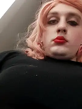 TransNikol97 online show from May 2026 12:49:01 AM