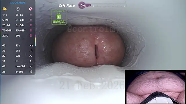 controlmytoys online show from February 2026 08:44:01 PM