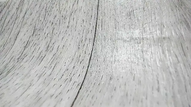 LittleSonya online show from December 2025 04:57:01 PM