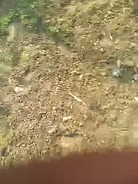 FinableKnee online show from October 2025 05:08:02 AM