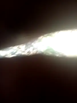 FinableKnee online show from February 2026 05:51:01 AM