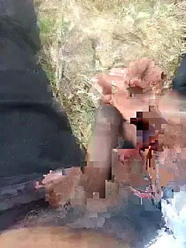 FinableKnee online show from April 2026 07:15:02 AM