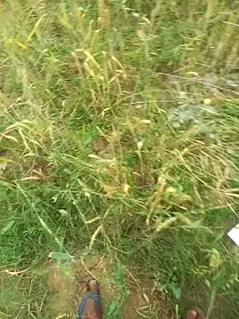 FinableKnee online show from March 2026 04:14:01 AM