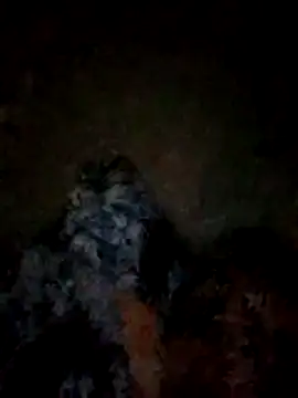 FinableKnee online show from November 2025 03:06:02 PM