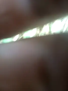 FinableKnee online show from November 2025 06:34:01 AM