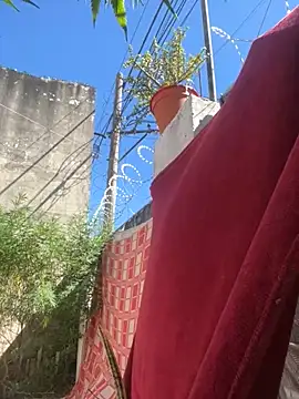 Alicbranca online show from March 2026 02:35:02 PM