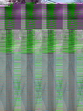 Snapshot of Alicbranca chatting on September 2025 04:42:01 PM Alicbranca online show from September 2025 04:42:01 PM