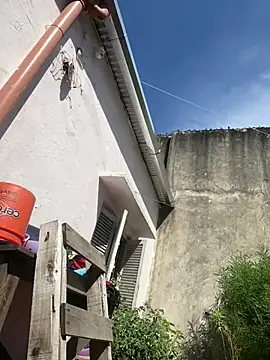 Snapshot of Alicbranca chatting on February 2026 02:06:02 PM Alicbranca online show from February 2026 02:06:02 PM