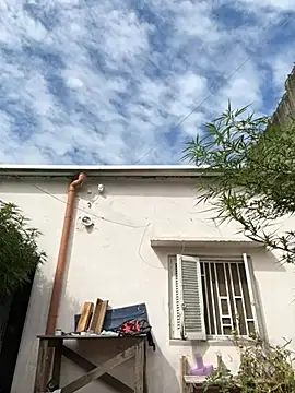 Alicbranca online show from March 2026 01:56:01 PM