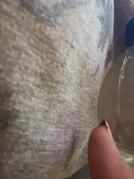 Alicbranca online show from March 2026 12:38:01 PM