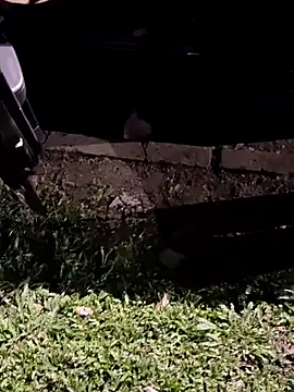 jeancarloscum12 online show from February 2026 08:35:02 AM