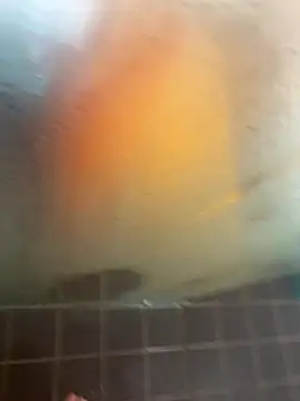 Mark3706 online show from September 2025 11:04:02 AM