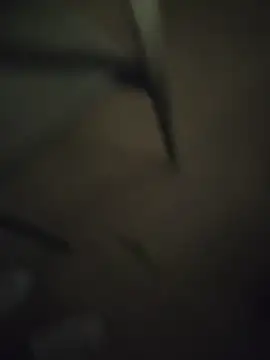 IoAndrea online show from February 2026 01:07:02 AM