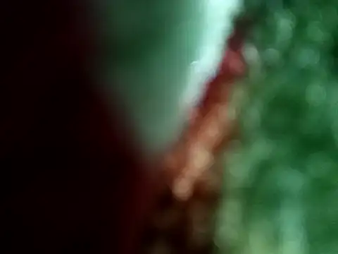 Rittik00 online show from January 2026 02:35:01 PM