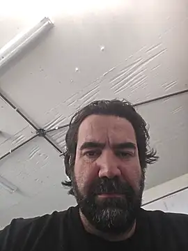 MysterBearMG online show from July 2026 03:22:01 PM