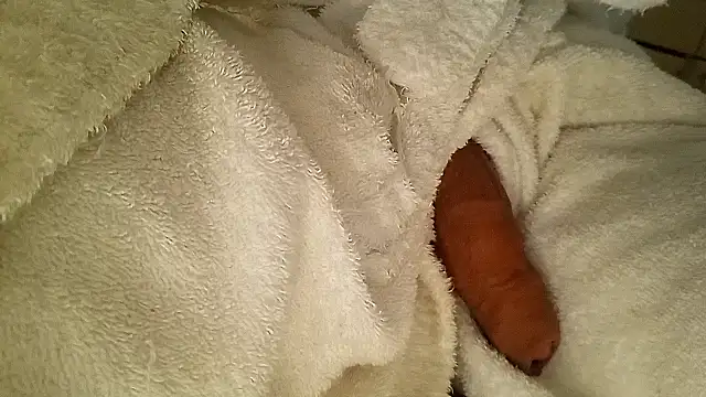 Remstr online show from February 2026 11:37:02 PM