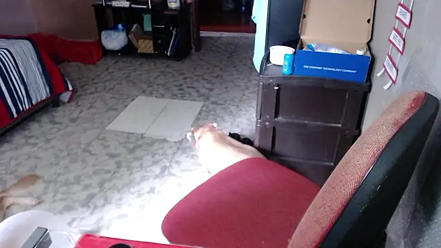 Barbiegomez online show from March 2026 05:23:01 PM