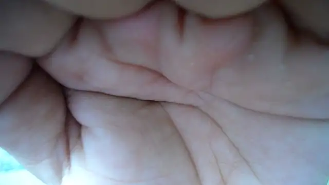 cum bigass online show from October 2025 12:04:02 PM