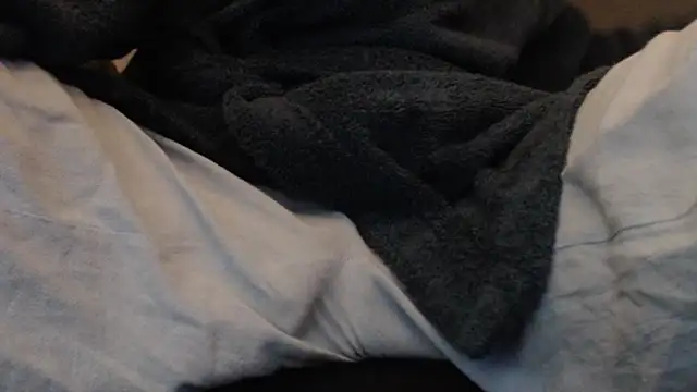 herver67 online show from December 2025 12:51:01 PM