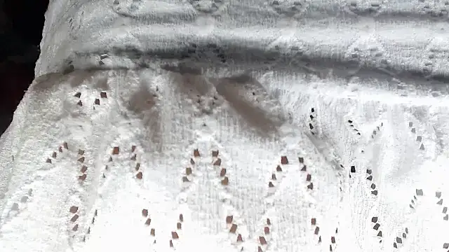 aleera starxx982 online show from January 2026 12:01:02 PM