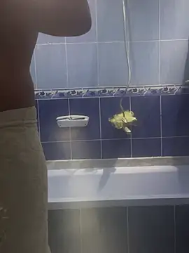 Arabien Pharaoh- online show from March 2025 05:58:01 PM