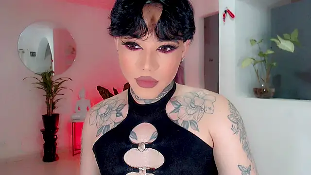 little star porn online show from September 2025 03:23:01 AM