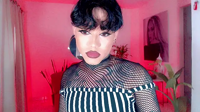 little star porn online show from November 2025 07:14:01 PM